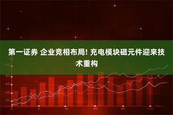第一证券 企业竞相布局! 充电模块磁元件迎来技术重构
