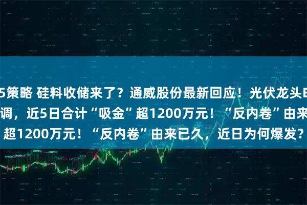 5策略 硅料收储来了？通威股份最新回应！光伏龙头ETF(516290)大涨后微调，近5日合计“吸金”超1200万元！“反内卷”由来已久，近日为何爆发？